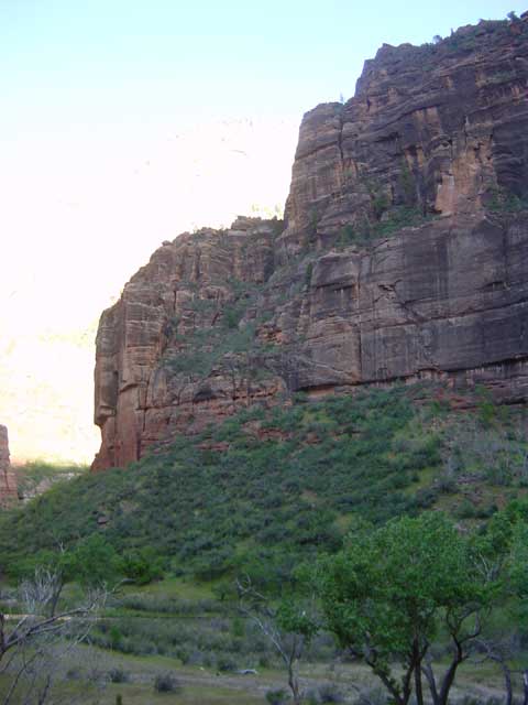 Ouest-USA_etape_7_zion 035.jpg